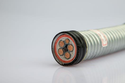 金聯(lián)宇礦物緣電纜的分類和區(qū)別有哪些 金聯(lián)宇礦物緣電纜的分類和區(qū)別有哪些